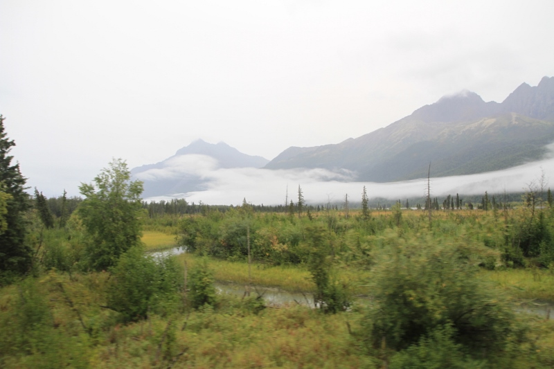 View from the Train