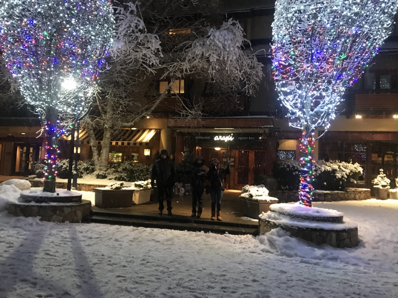 Town of Whistler