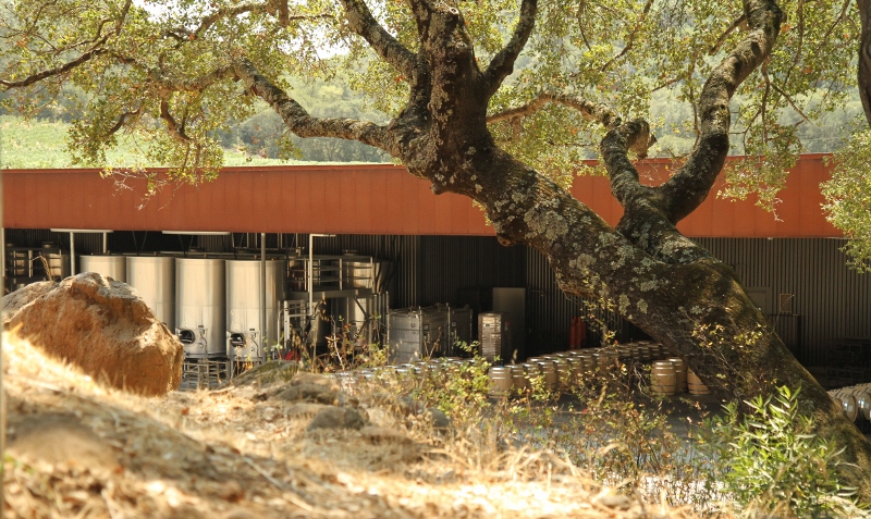 Fermentation Tanks