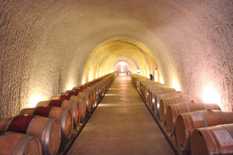 Barrel cave at Kelly Fleming