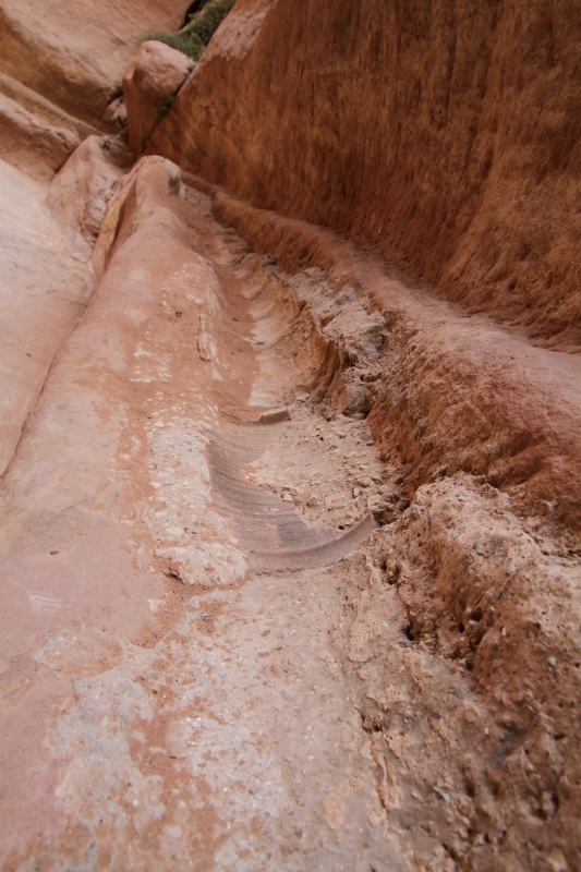 2019-05-06 Jordan - Petra 035 (533x800)