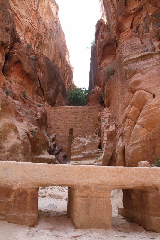 2019-05-06 Jordan - Petra 038 (533x800)