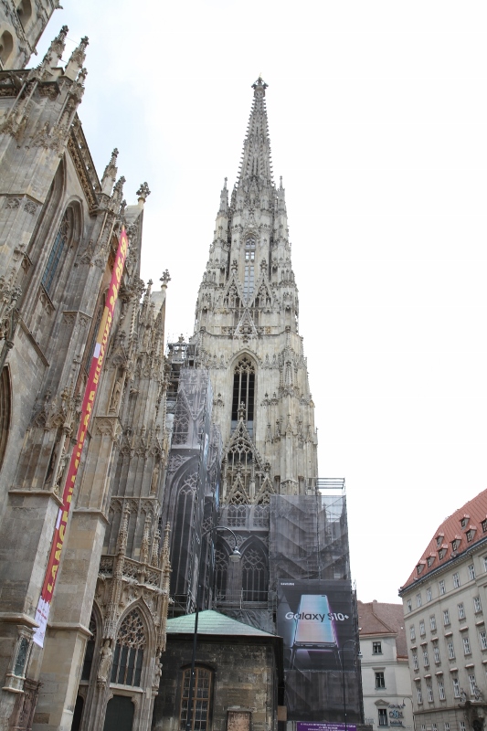 2019-05-14 Vienna 051 (533x800)